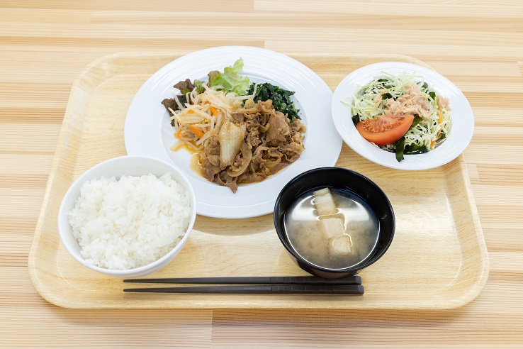 応用電機株式会社_定食の写真